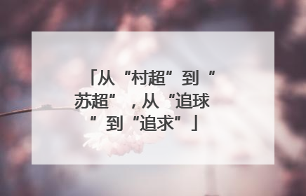 从“村超”到“苏超”，从“追球”到“追求”
